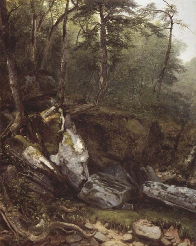 Asher Brown Durand Study from Nature rocks and trees in the Catskills